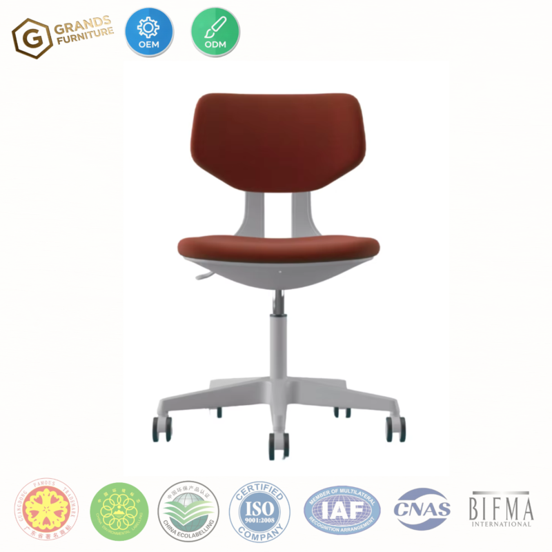 Contemporary Ergonomic Children's Rotary Chair Lif