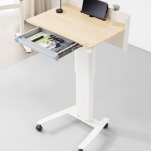 New Arrival Pneumatic Height Adjustable Metal Lapt