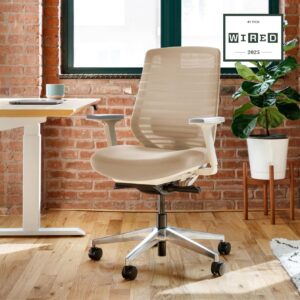 Ergonomic Mesh Modern Minimalist Home Office Chair