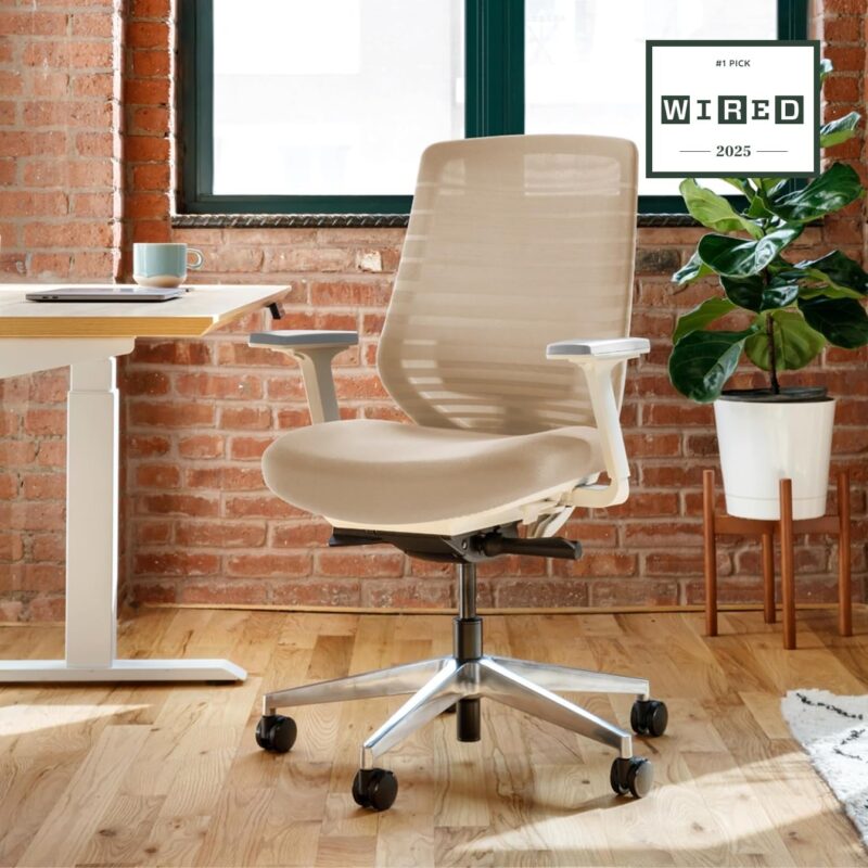 Ergonomic Mesh Modern Minimalist Home Office Chair