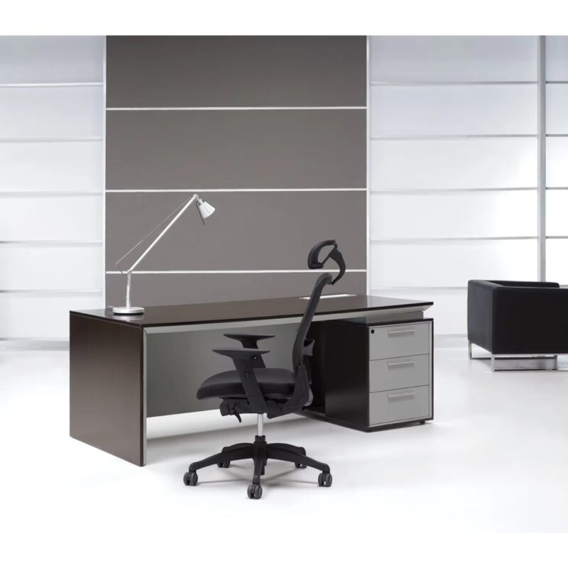 High-End Modern GRANDS Executive Office Desk with